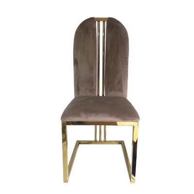 Gouden Beenfluweel het Dineren Stoelen